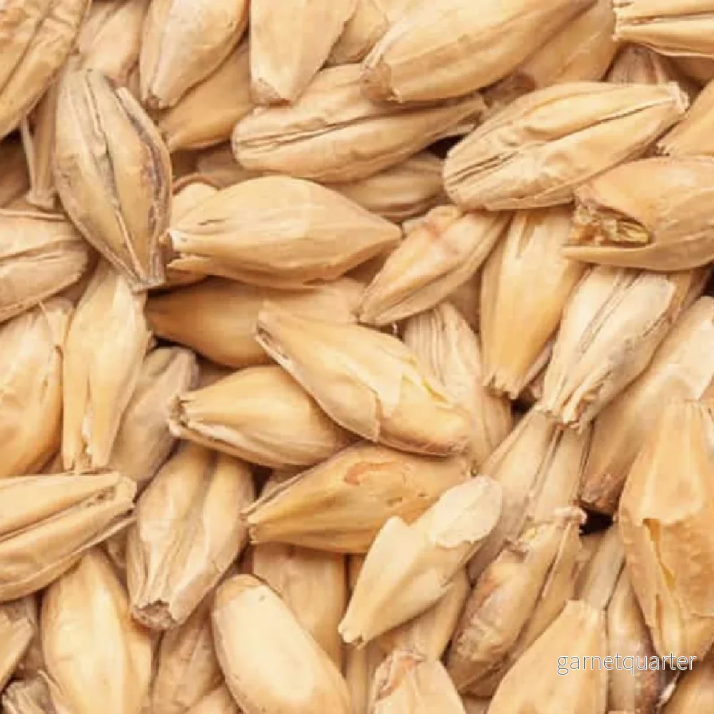 BEST Pale Ale Malt (5-7 EBC) 100G – Bestmalz BEST Pale Ale Malt (5-7 EBC) 100G – Bestmalz