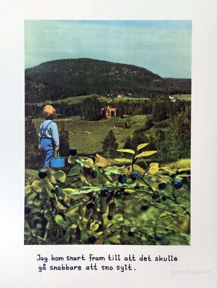Jan Stenmark  – Blåbär