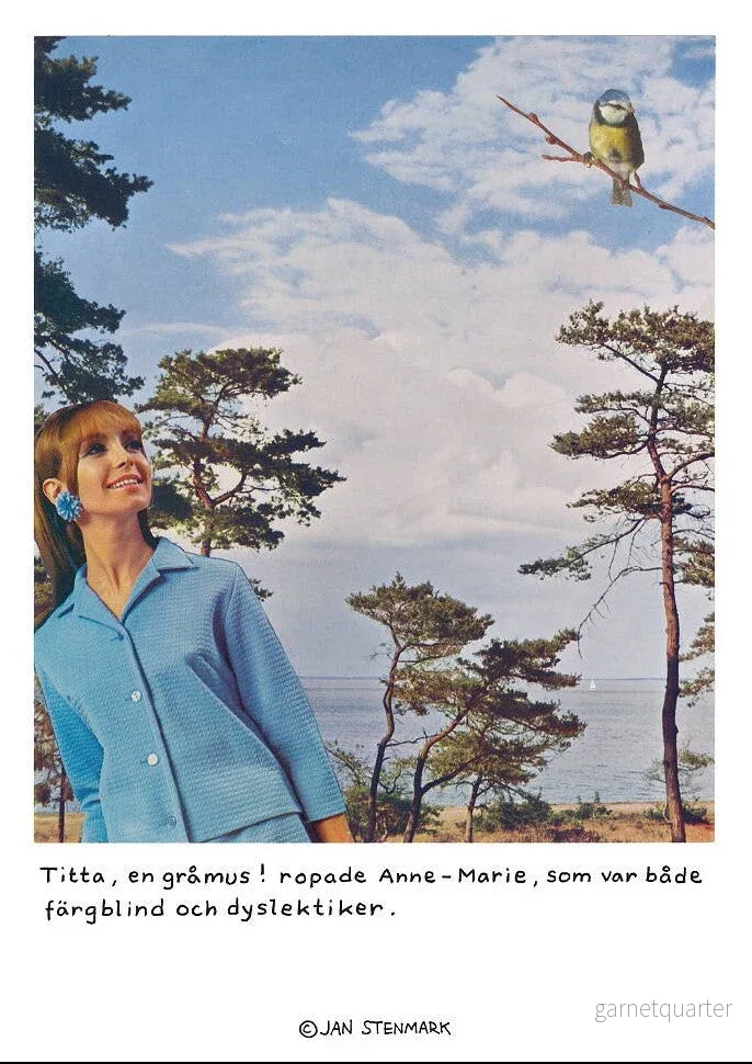 Jan Stenmark – Gråmus – 50 x 70