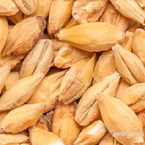BEST Acid Malt (3,0-8,0 EBC) 100g – Bestmalz BEST Acid Malt (3,0-8,0 EBC) 100g – Bestmalz