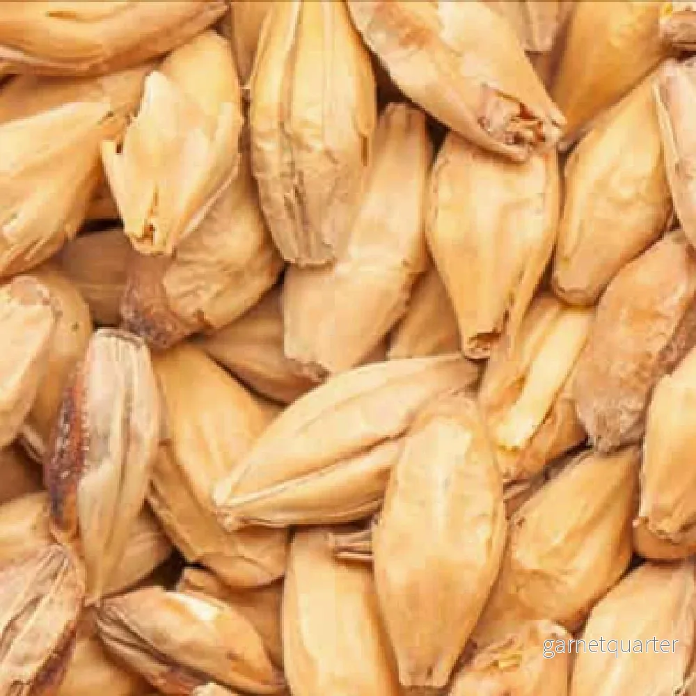 BEST Vienna Malt (8-10 EBC) 100G – Bestmalz BEST Vienna Malt (8-10 EBC) 100G – Bestmalz