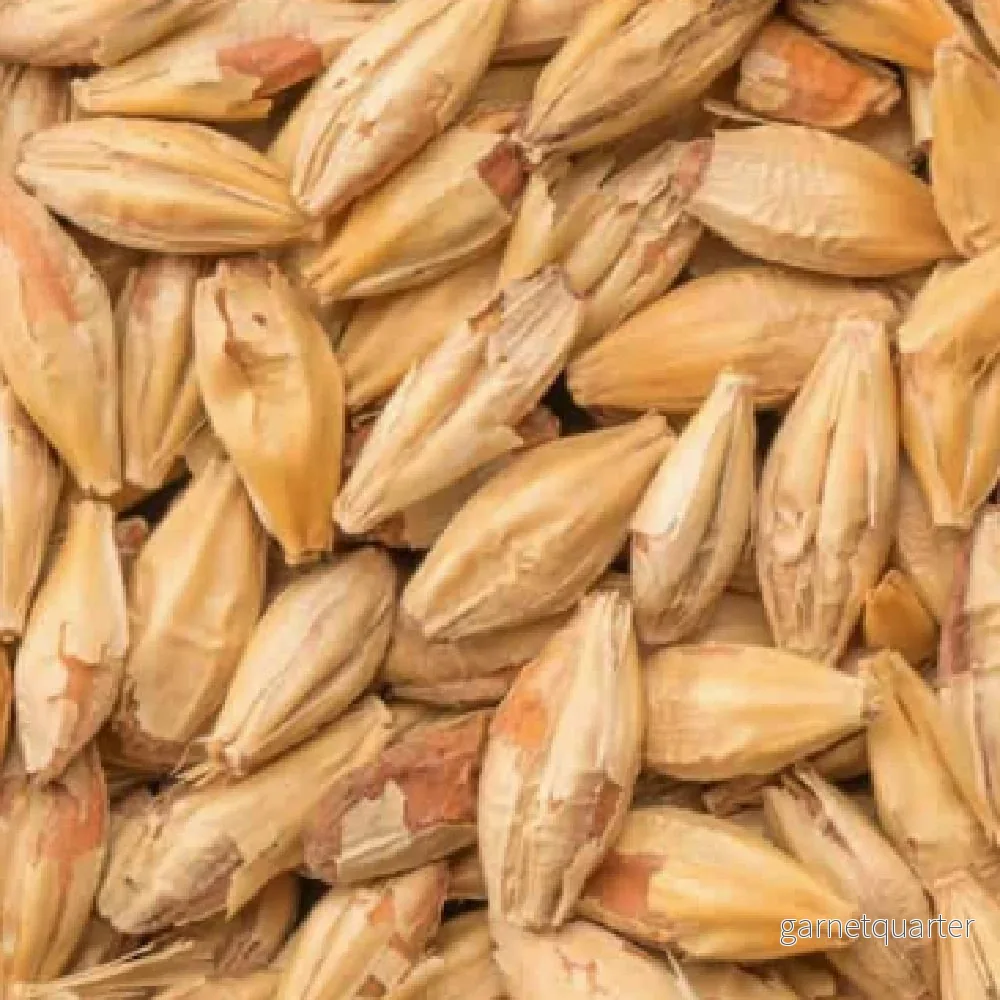 BEST Biscuit Malt (45-55 EBC) 100G – Bestmalz BEST Biscuit Malt (45-55 EBC) 100G – Bestmalz