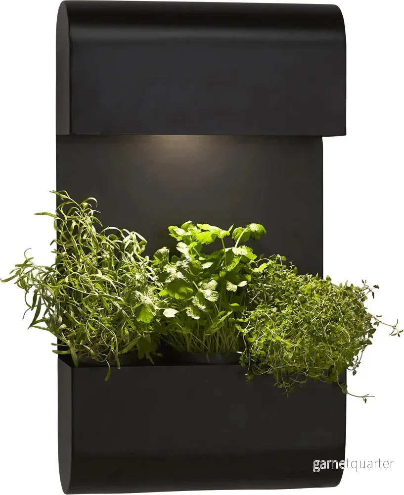 PR Home Planta vägglampa - Bild 2