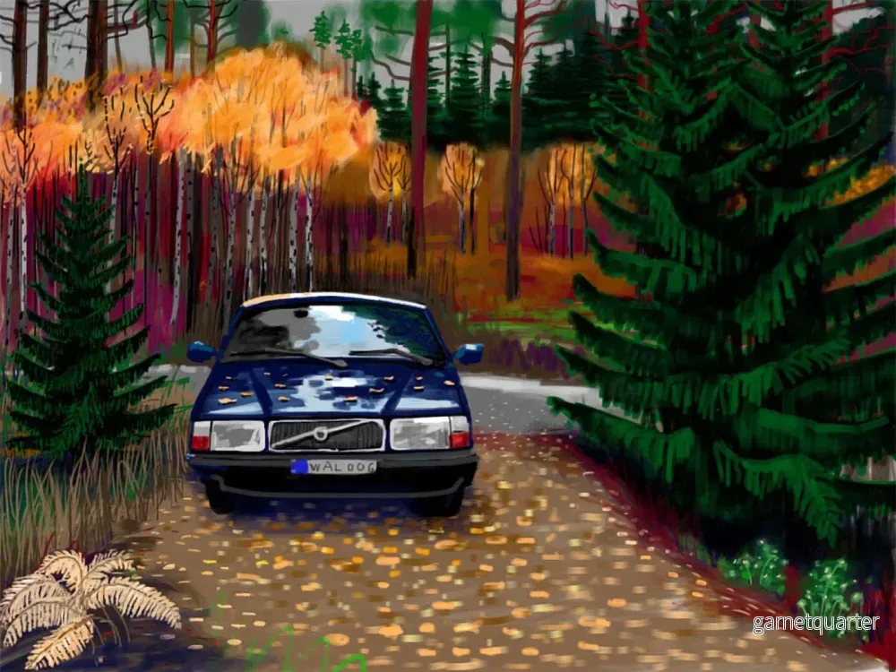 Peter Sternäng – I svampskogen