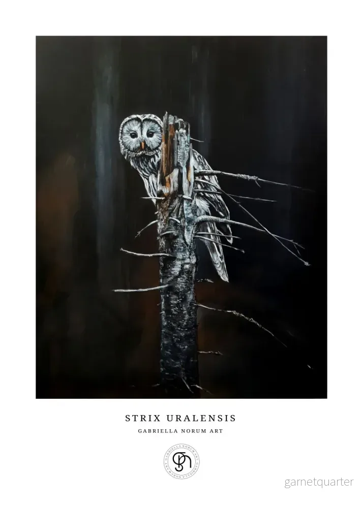 Gabriella Norum – Slagugglan – Strix Uralensis