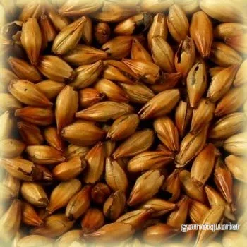 Special B Malt (300 EBC) 100G – Castle Malting