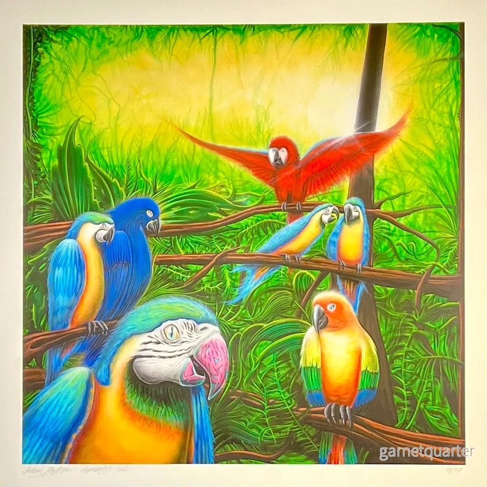 c Adam Algotsson – Amazonas- AUKTION