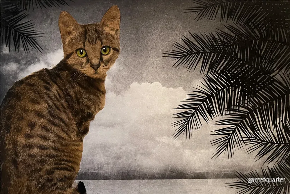 Arnold Hagström – Katt i landskap Arnold Hagström – Katt i landskap
