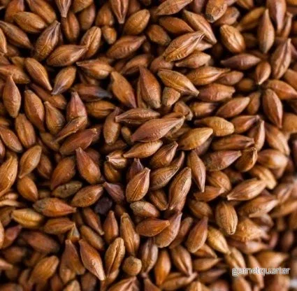 Brown Malt (175-200 EBC) 100G – Thomas Fawcett