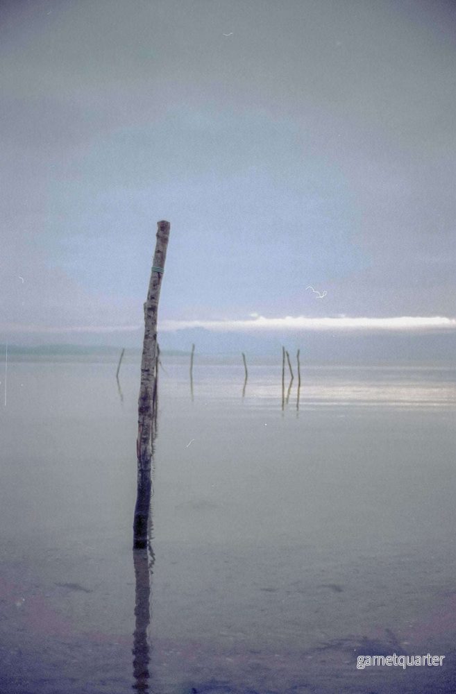 Søren Lynggaard Andersen – Strands