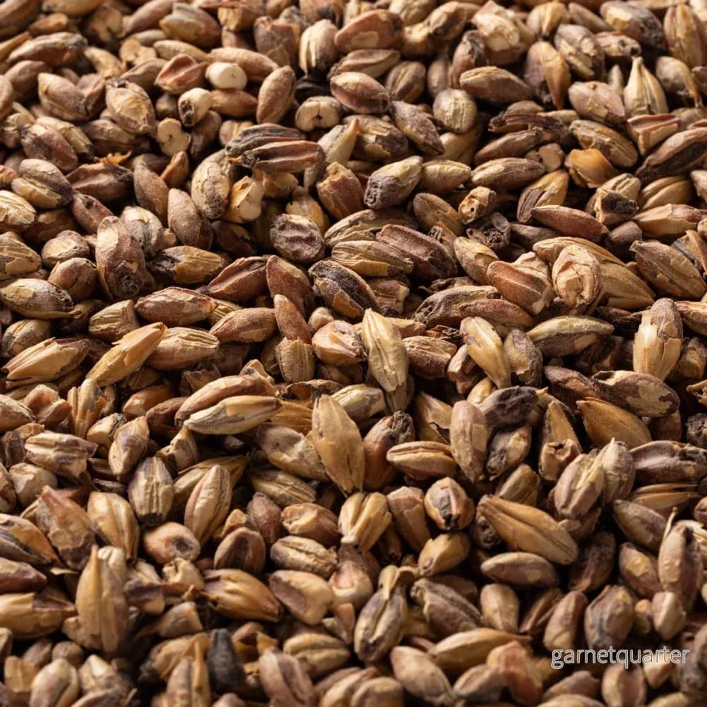 Special Roast Malt (79 EBC) 100g – Briess Special Roast Malt (79 EBC) 100g – Briess