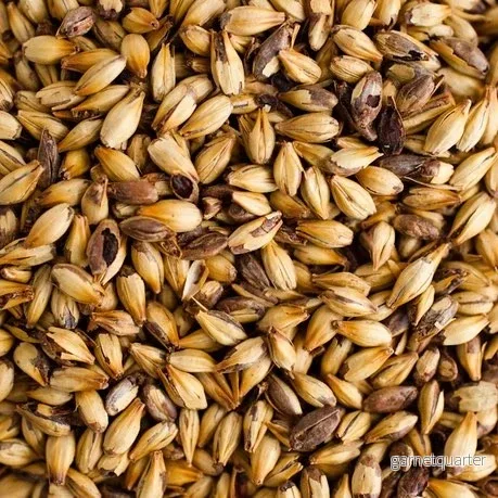 Crystal Malt (150-175 EBC) 100G – Thomas Fawcett