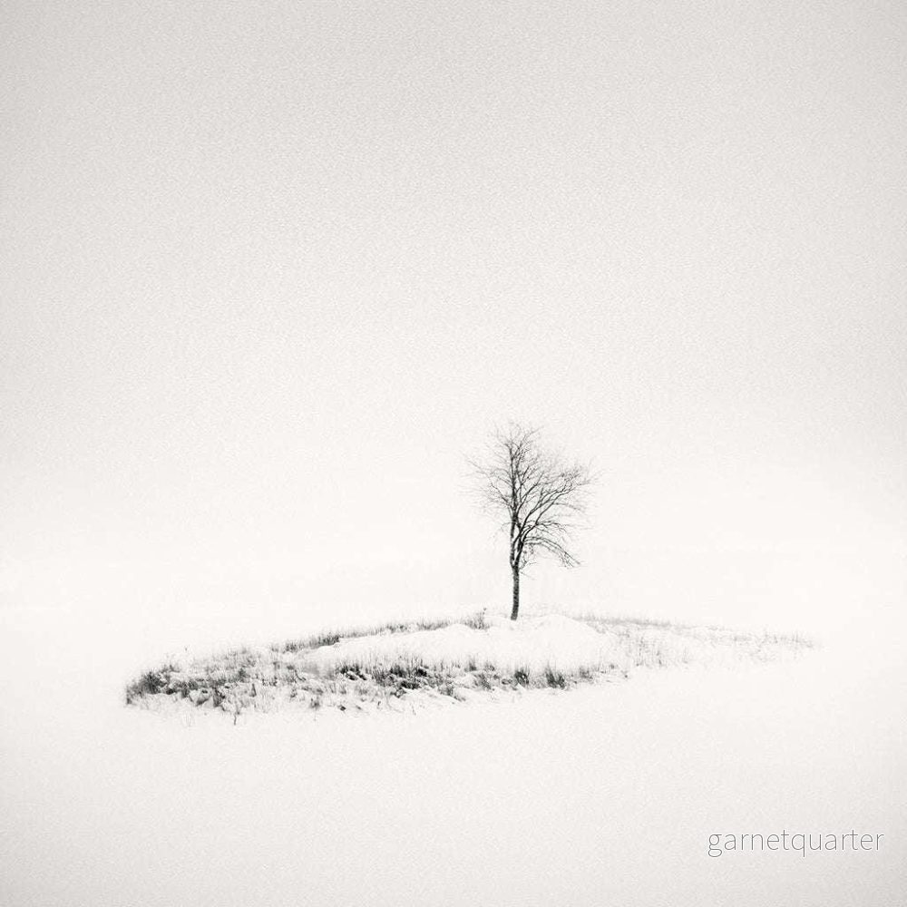 Frang Dushaj – Winter Tales The Lighness of Solace B60XH60