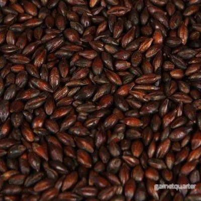 Carafa Special Type 1 (800-1000 EBC) 100G – Weyermann