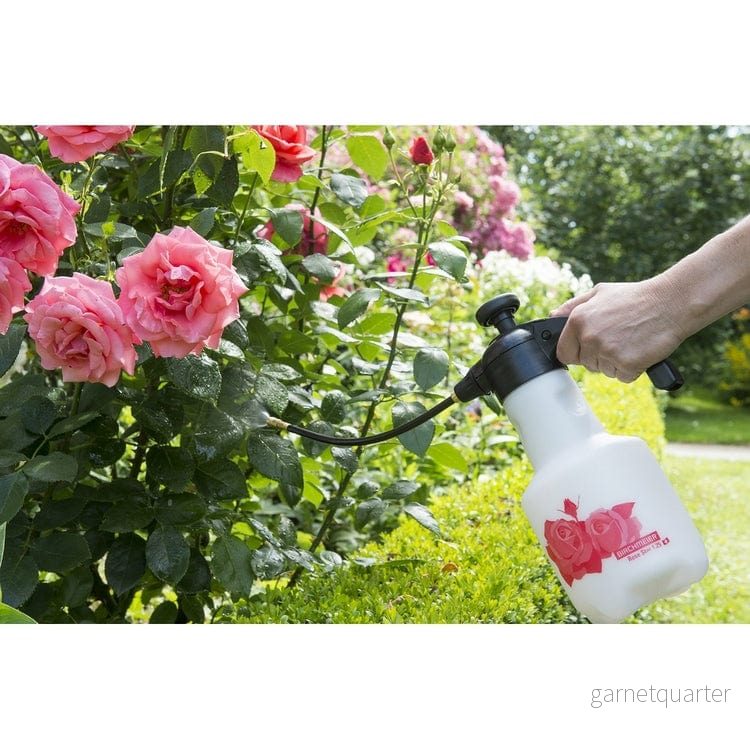 Birchmeier Tryckspruta Rose Star 1.25 - Bild 2