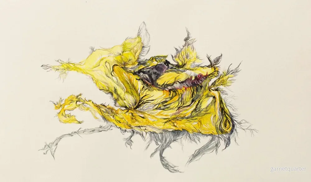 Özlem Kertis – Yer-Su, Savannah