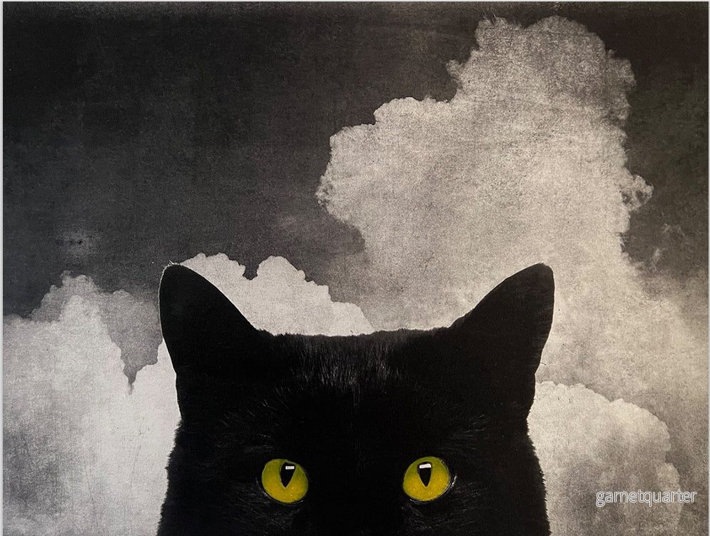Arnold Hagström – Katt och moln Arnold Hagström – Katt och moln