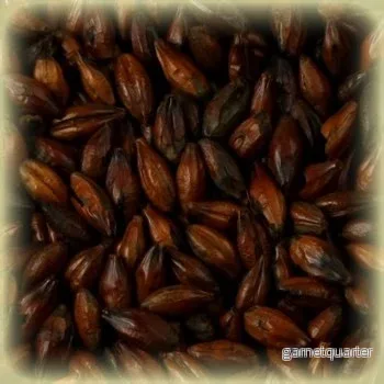 Chocolate Malt (1100-1250 EBC) 100G – Thomas Fawcett