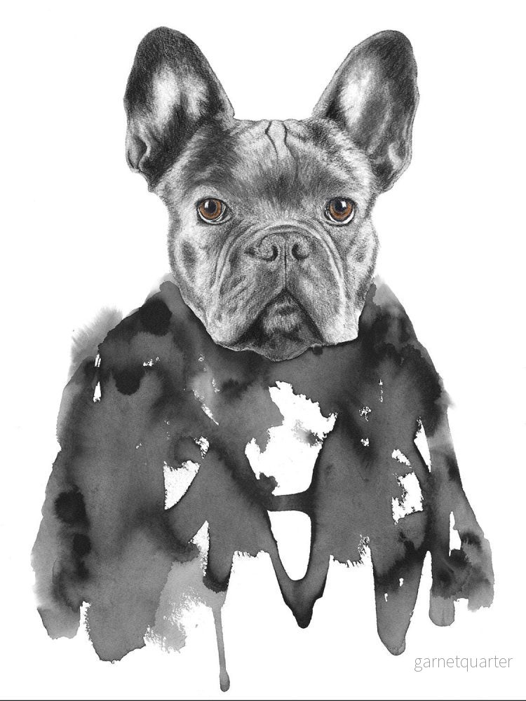 Annika Wessmark – Fransk Bulldog Herrman Annika Wessmark – Fransk Bulldog Herrman