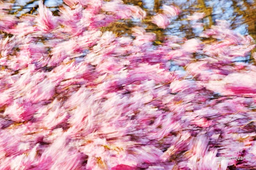 Sandersson – Pink no. 1