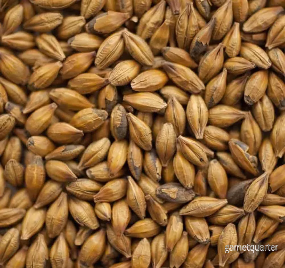 Amber Malt (110-140 EBC) 100G – Thomas Fawcett Amber Malt (110-140 EBC) 100G – Thomas Fawcett