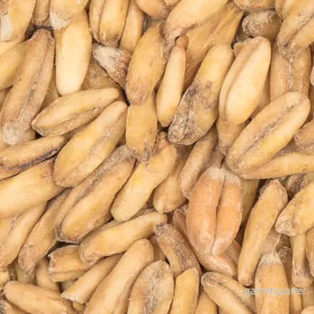BEST Oat (Havre) Malt (3-8 EBC) 100G – Bestmalz BEST Oat (Havre) Malt (3-8 EBC) 100G – Bestmalz