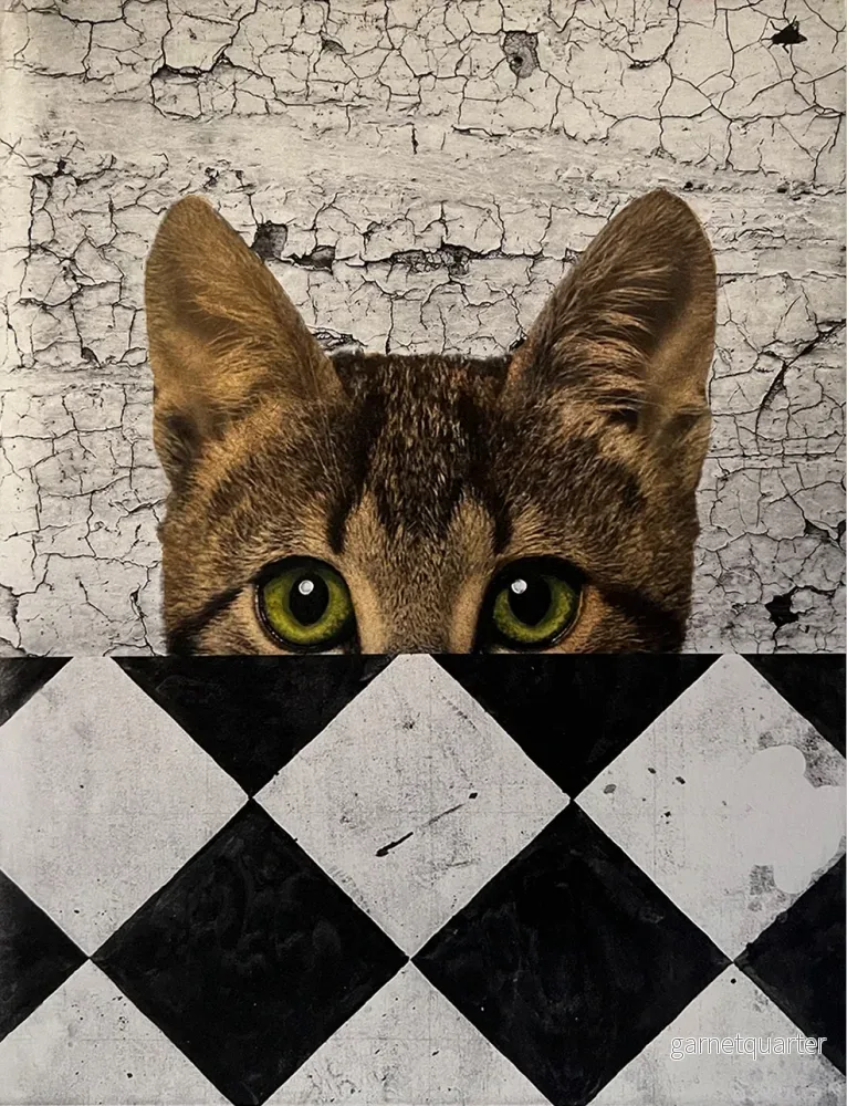 Arnold Hagström  – Katt och rutor