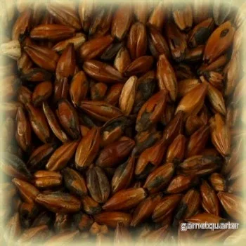 Cafe Malt (500 EBC) 100G – Castle Malting