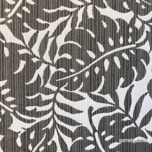 Grå Monstera (grå blad) 10cm