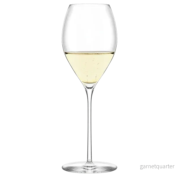 Fino Champagne Glass 425 ml 6 st - Stölzle Lausits - Bild 2