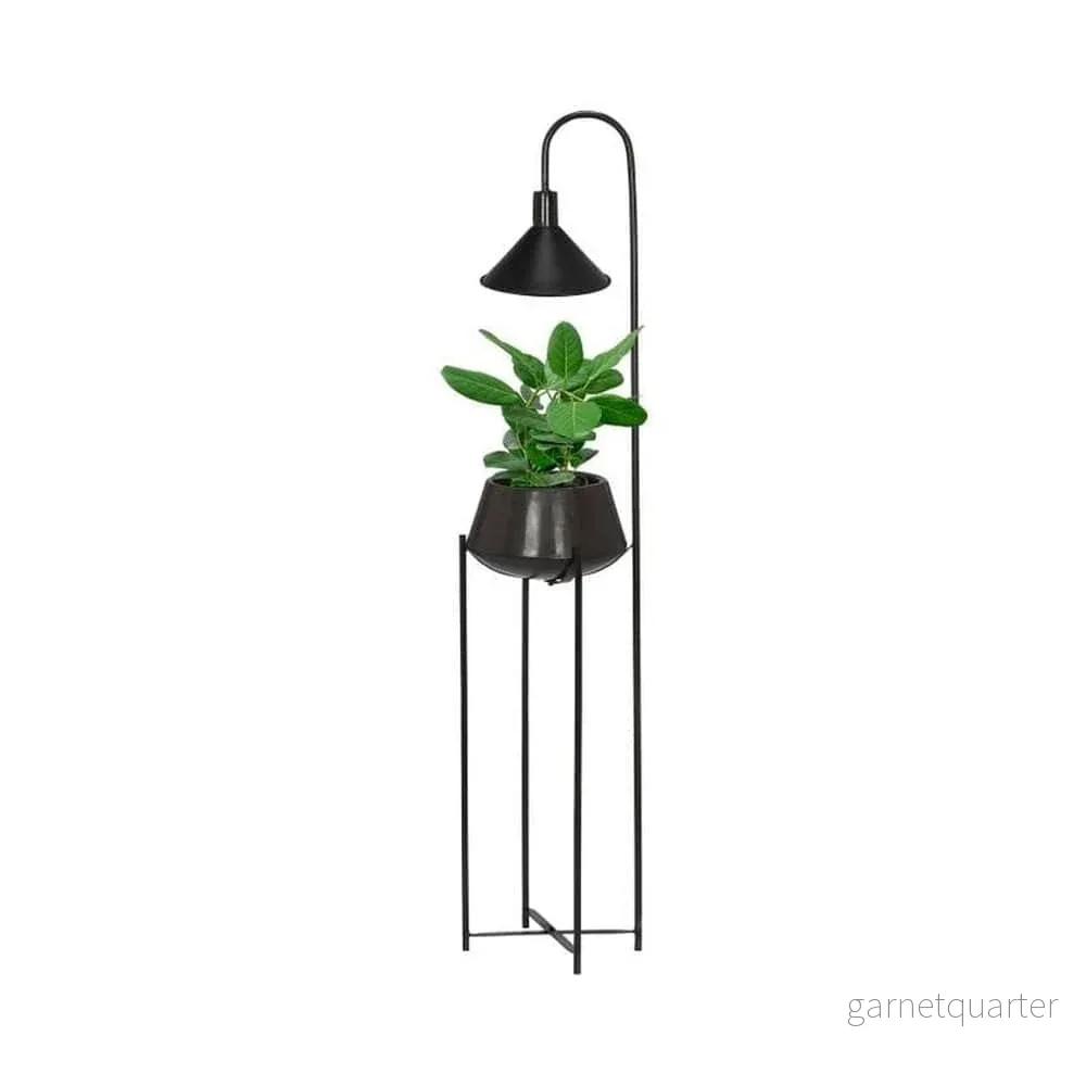 PR Home Blomkruka med Belysning Cornelia PR Home Blomkruka med Belysning Cornelia