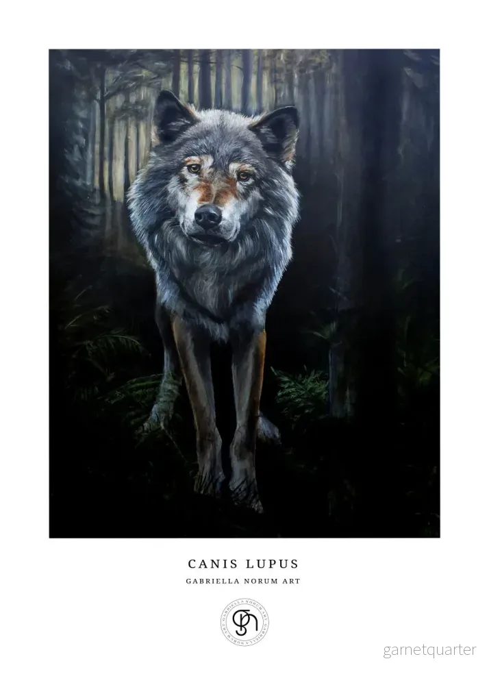 Gabriella Norum – Vargen – Lupus Lupus