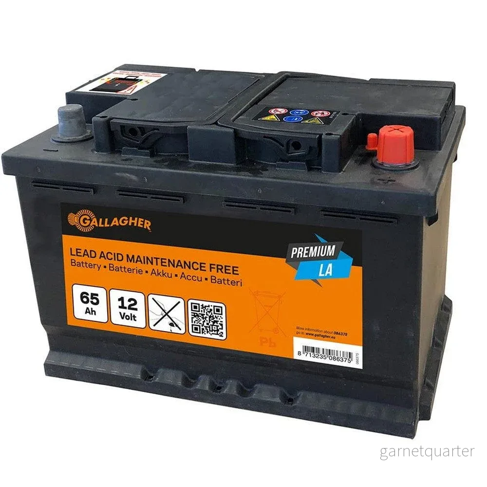Gallagher Blybatteri Premium 12V