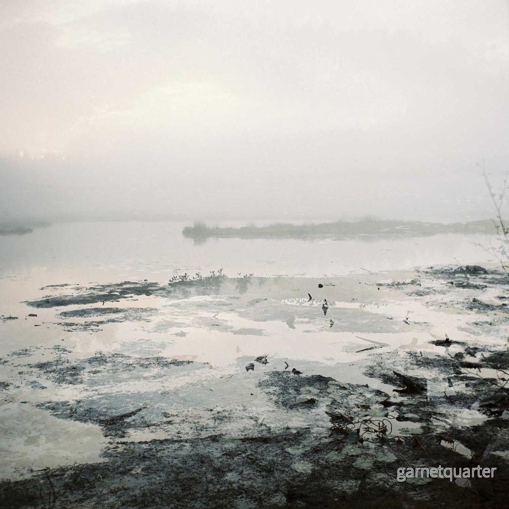 Anna Lilleengen – Metamorphosis-Series-1#1