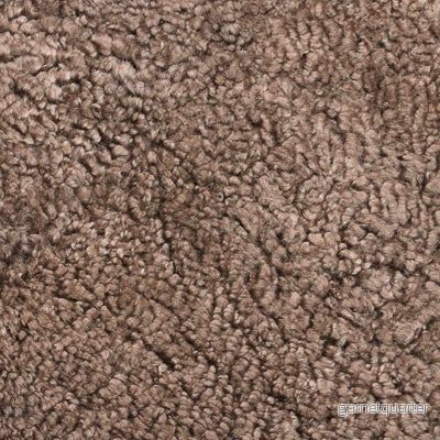 Wombat – Sahara Wombat – Sahara