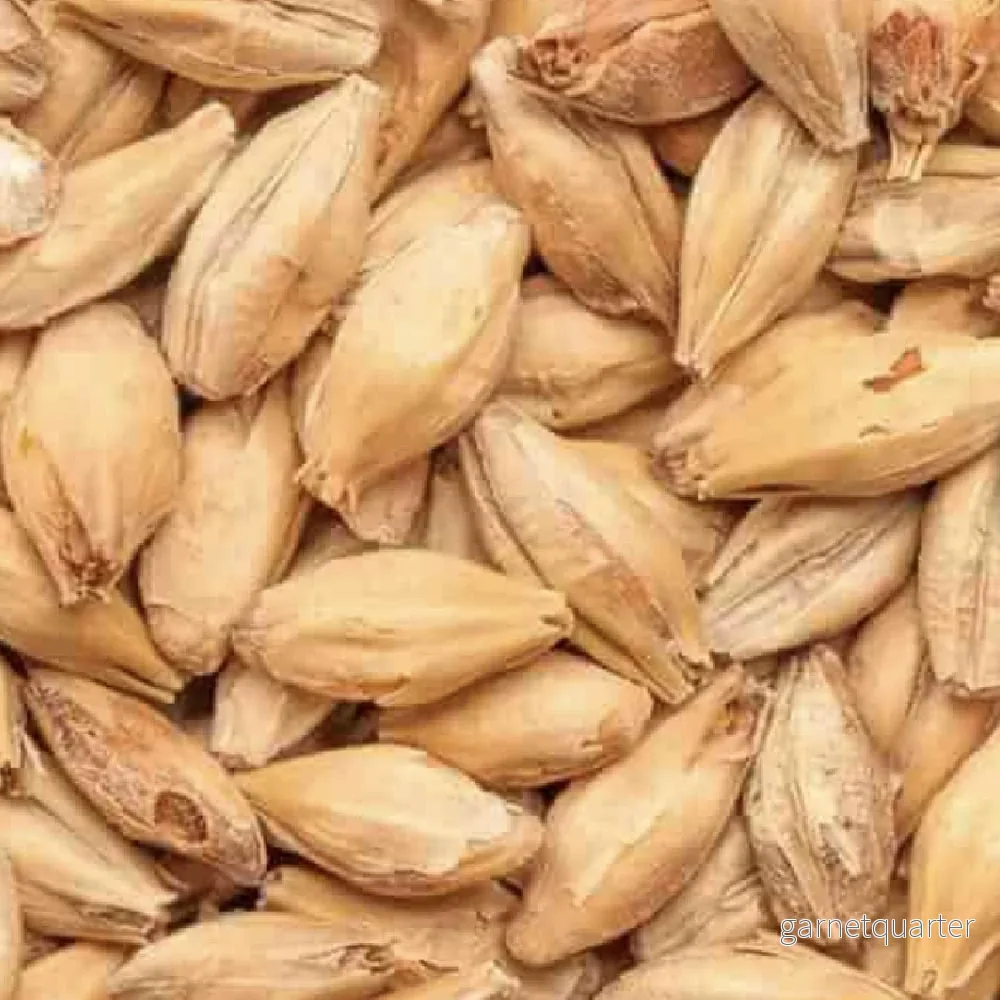 BEST Munich Malt (11-20 EBC) 100G – Bestmalz BEST Munich Malt (11-20 EBC) 100G – Bestmalz