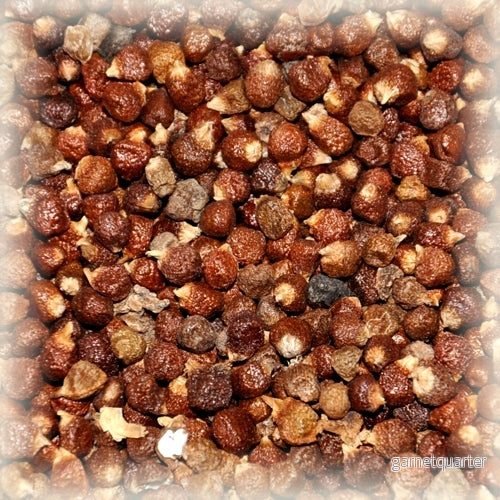 Paradiskorn / Guineapeppar 1kg