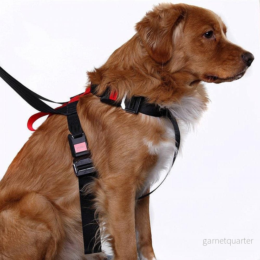 Artfex Bilsele Dog Harness