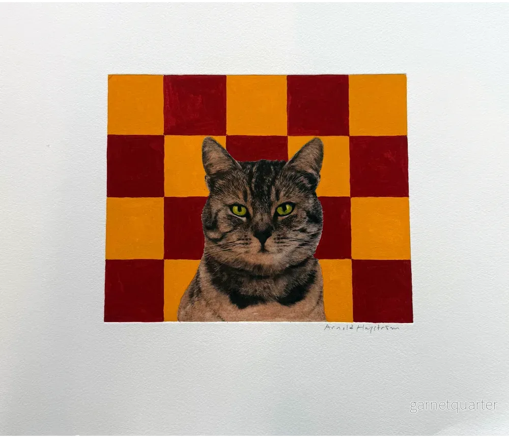 Arnold Hagström – Katt rutig bakgrund
