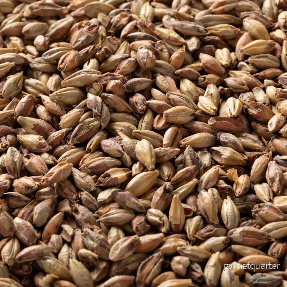 Victory Malt (55 EBC) 100g – Briess Victory Malt (55 EBC) 100g – Briess