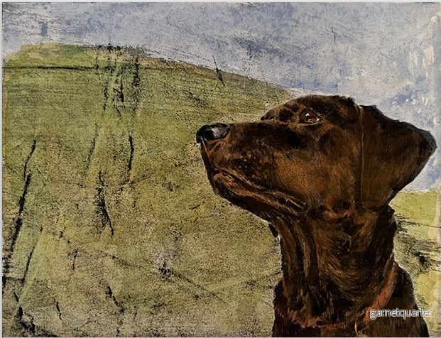 Arnold Hagström – Hund Arnold Hagström – Hund
