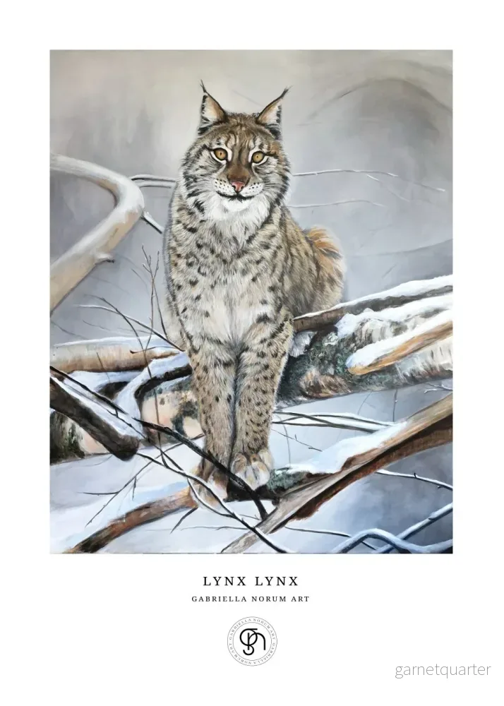 Gabriella Norum – Lokatten – Lynx Lynx