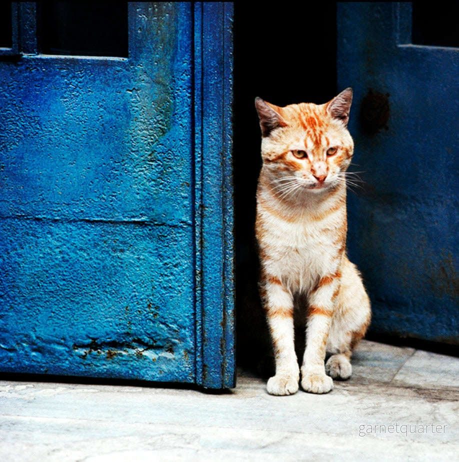 Sandersson – The Doorman from Istanbul